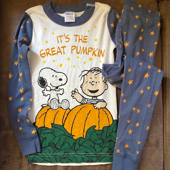 Hanna Andersson Organic Cotton boys fall pajamas - Picture 1 of 2